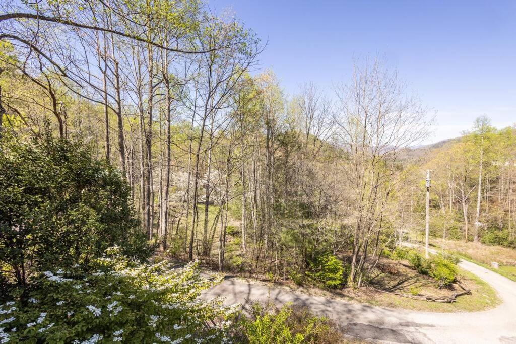 Family Cabin Near Smoky Mtn Entrance Nantahala Robbinsville Exterior photo